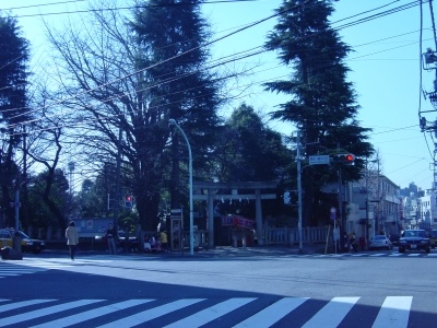 ȷ��ȬȨ����������