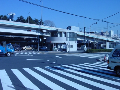 ���̥�ë�����θ���