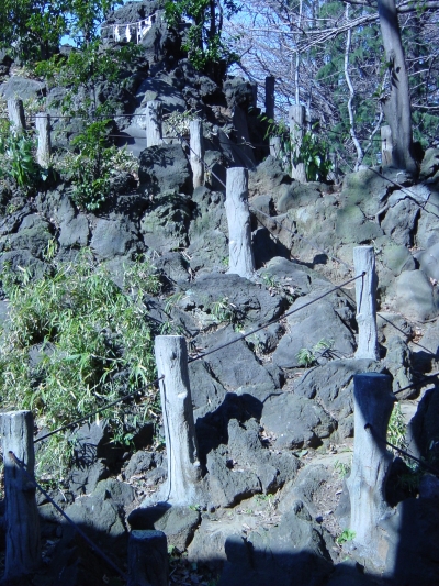 �ٻλ�΢�л���