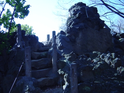 �ٻλ�΢ĺ���ն�