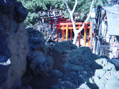 ĺ�夫��ȿ�Ф��Ф���򸫤�