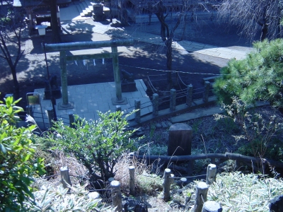 ĺ�夫�����̤򸫤�