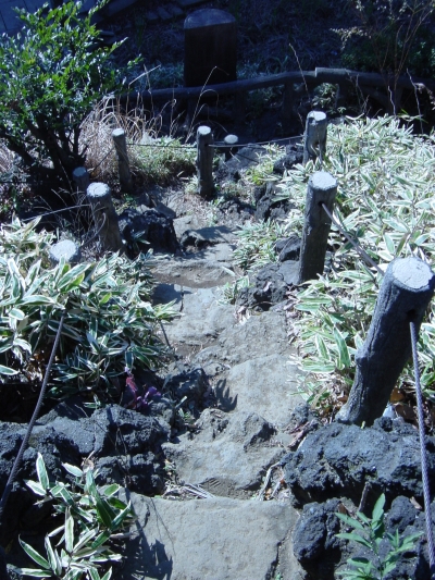 ĺ�夫�����̤�ƻ