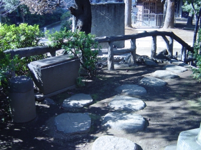 ���̤���ʢ������