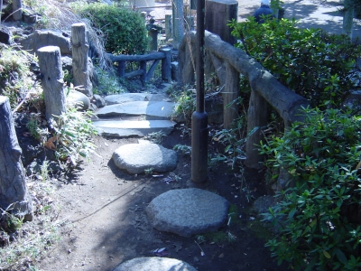 ���̤���ʢ������