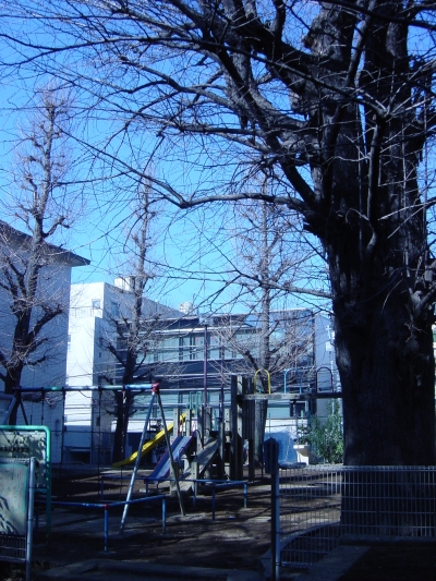 ȷ��������θ���